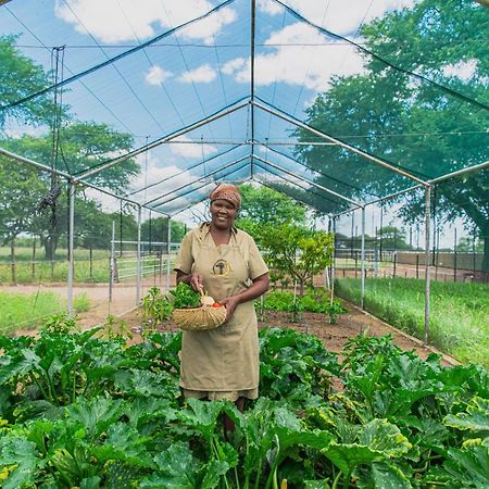 Farmstay Okakeua أوكاهانديا المظهر الخارجي الصورة