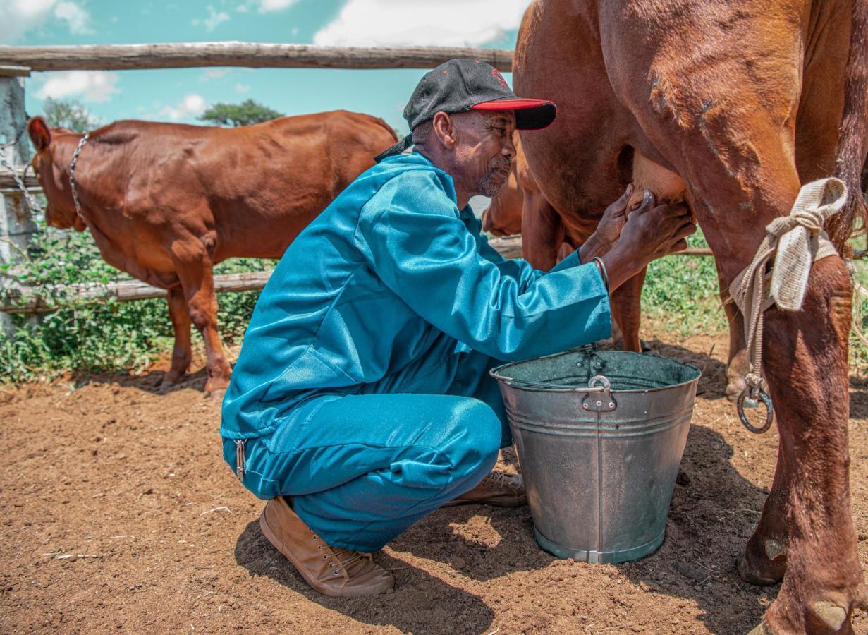 Farmstay Okakeua أوكاهانديا المظهر الخارجي الصورة