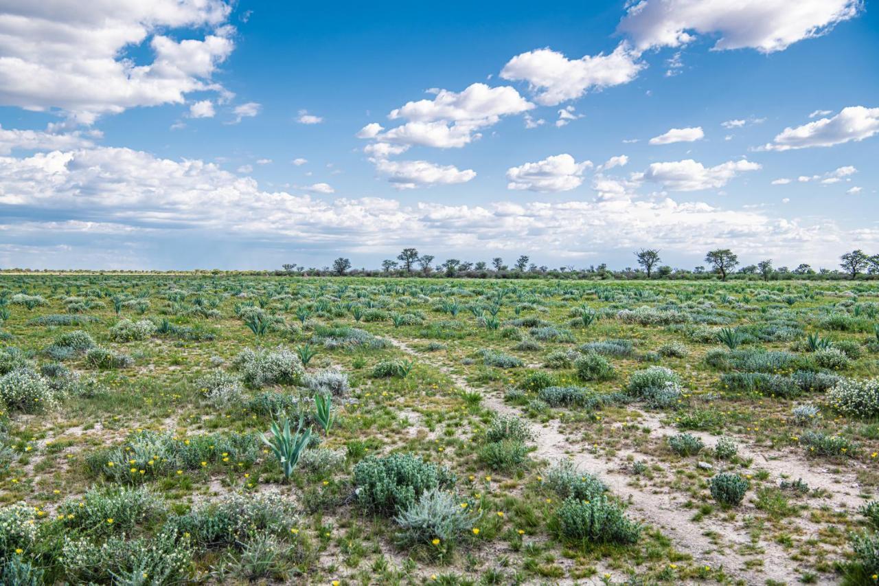 Farmstay Okakeua أوكاهانديا المظهر الخارجي الصورة