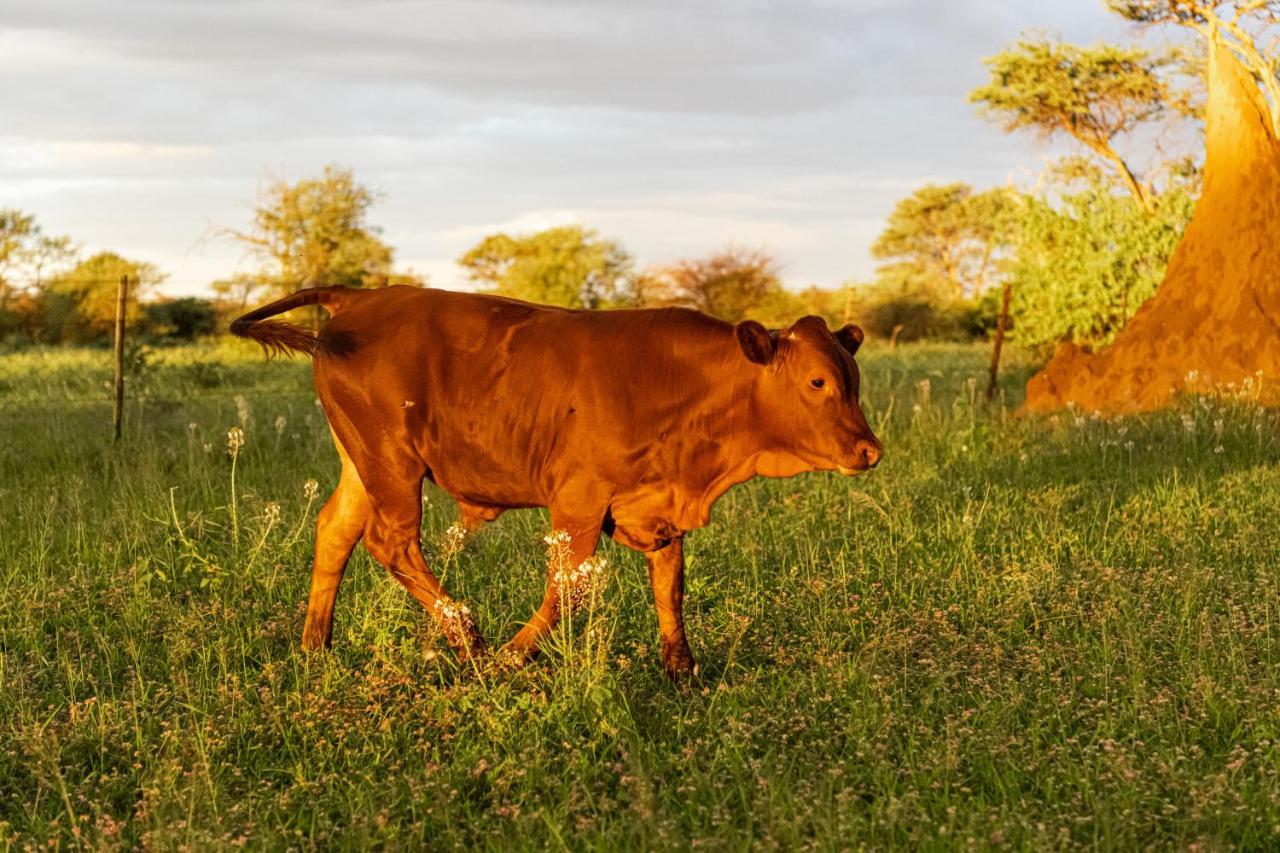 Farmstay Okakeua أوكاهانديا المظهر الخارجي الصورة